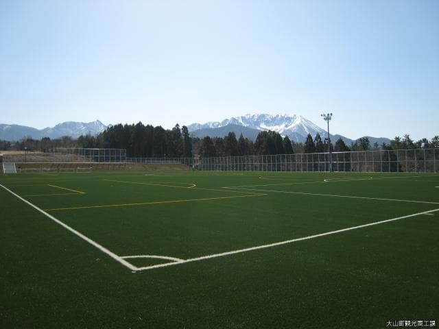 Artificial turf multi-purpose open space