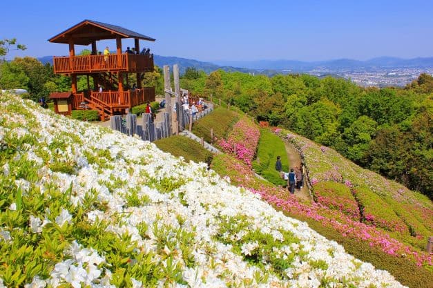 Higashi Mikawa Hometown Park Observation Azalea Garden