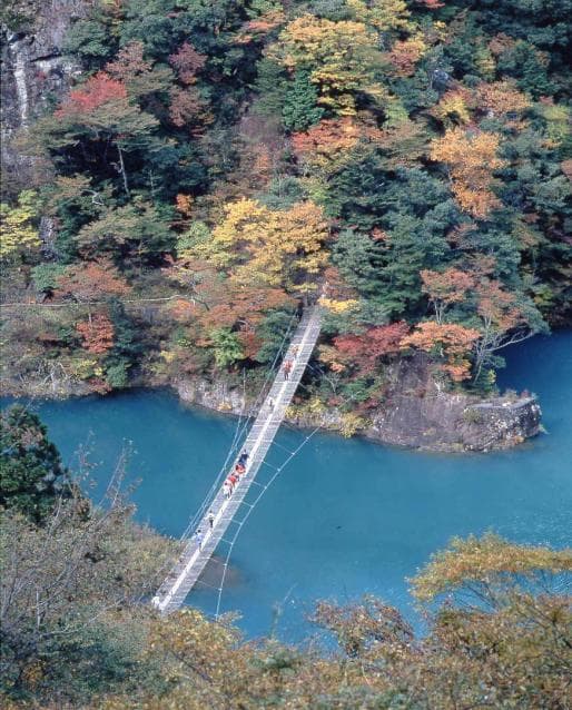 Suspension Bridge in Dreams in Autumn Leaves