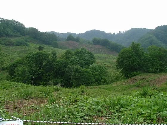 Shirakawa Warabien Garden