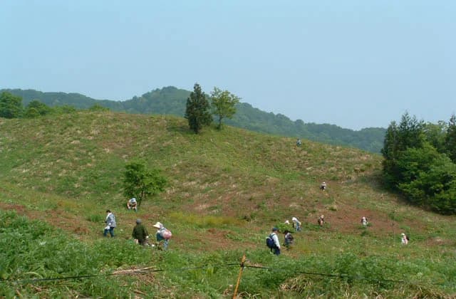 Osodani Warabi Garden