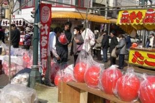 Daruma City (Hoshikawa)