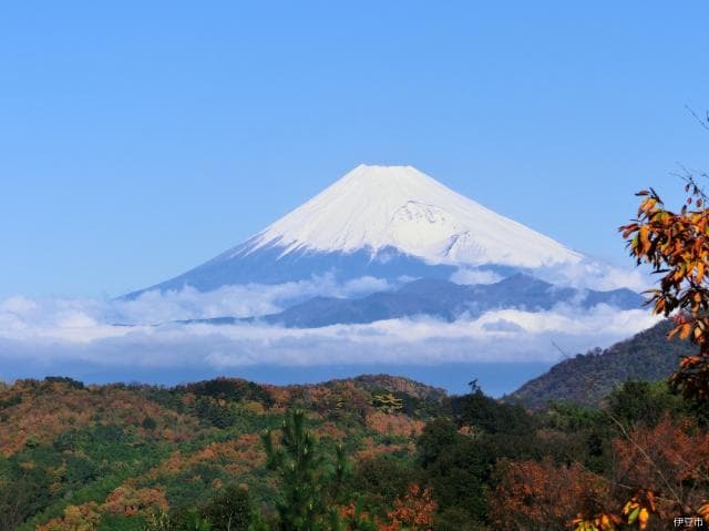Mount Fuji from Shuzenji Nature Park