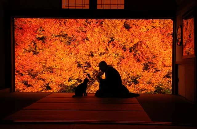 Ankoku-ji Temple