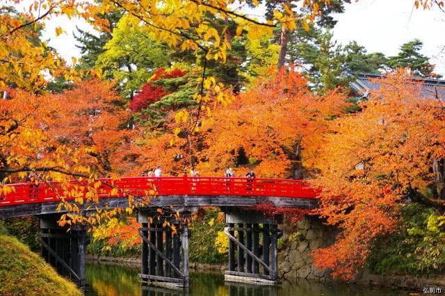 Chrysanthemum and Autumn Leaves Festival