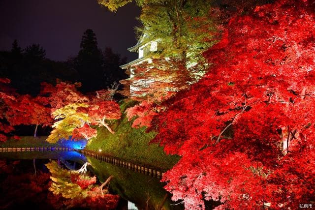 Chrysanthemum and Autumn Leaves Festival