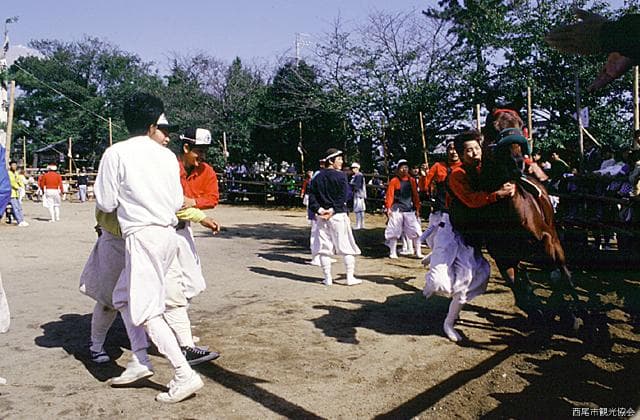Omanto Festival