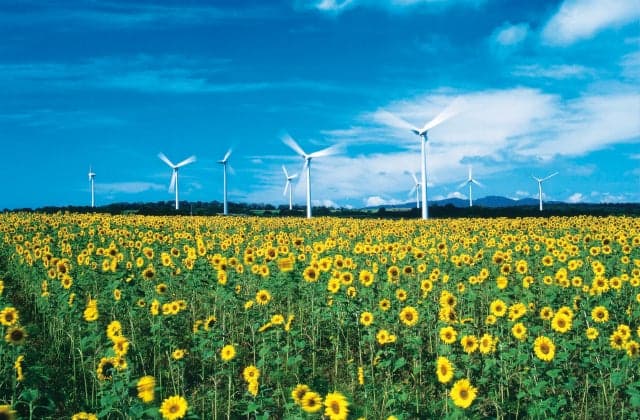 Nunobiki-style plateau