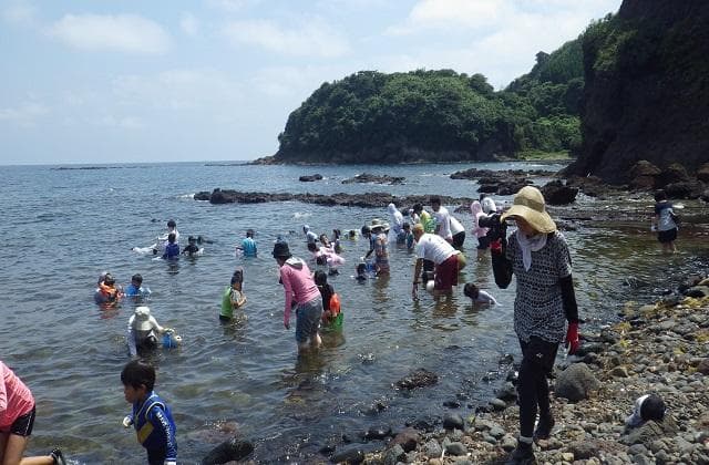 知夫里島サザエつかみ取り