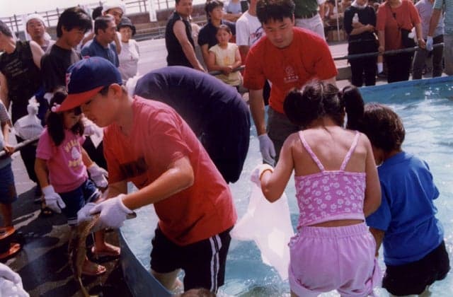 It's a great pleasure to have the seafood festival in Watakai.