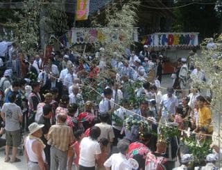 Tataki Festival