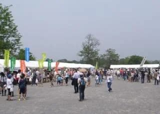 Environmental Festival (booth)