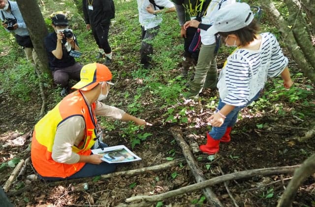 大槌ジビエツーリズム