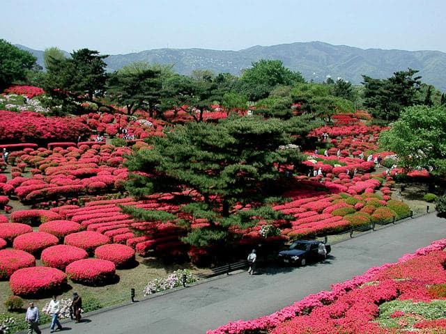 つつじ祭り