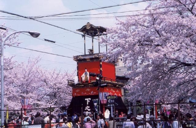 Cherry blossoms and floats