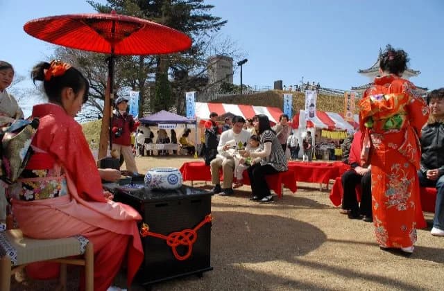 Uto Miyagi Cherry Blossom Festival (image)
