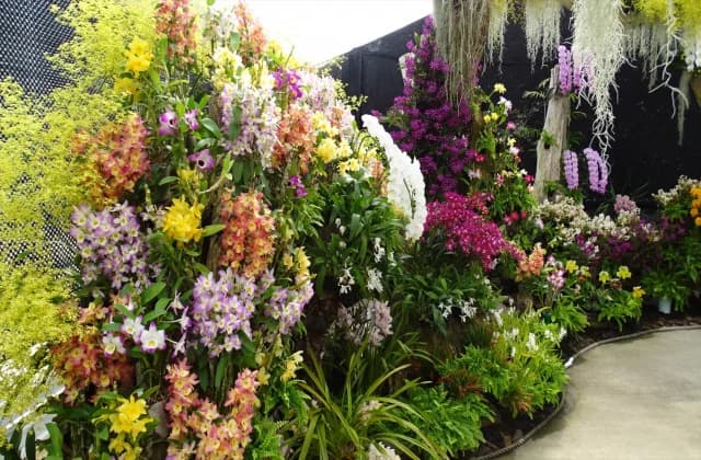 Large display