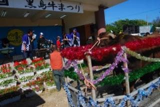 Kuroshima Beef Festival