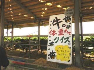 Kuroshima Beef Festival