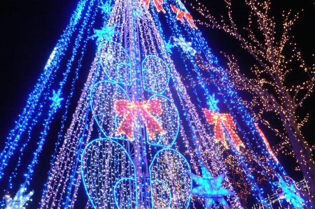 鳥取砂丘イリュージョン