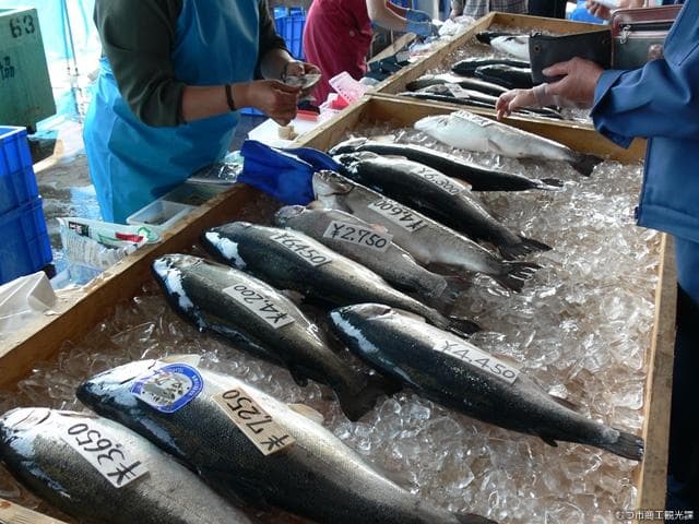 Strait salmon