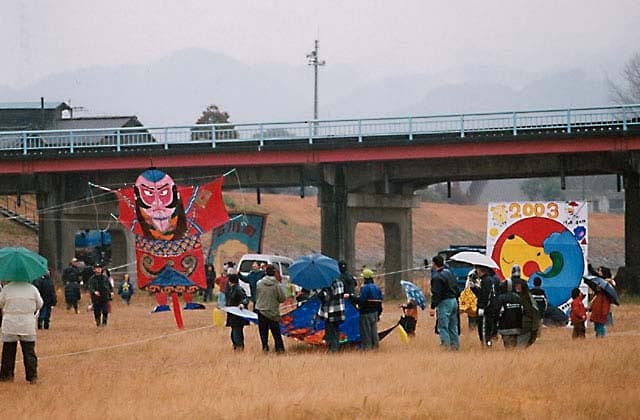 Kite-raising tournament