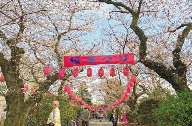 Nakano-dori St. Cherry Blossom Festival