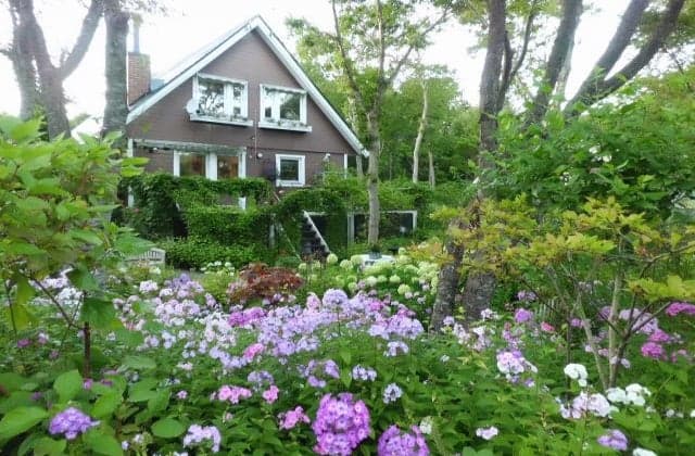 駒ヶ岳山麓リゾート森あるき1