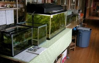 Under the wax in front of the shop