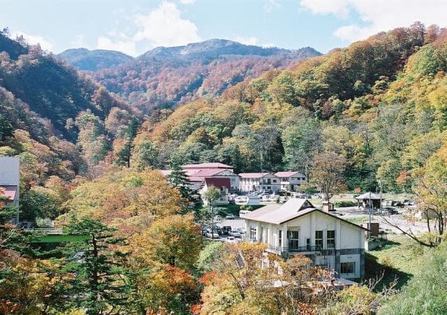 Summer oil hot spring autumn leaves
