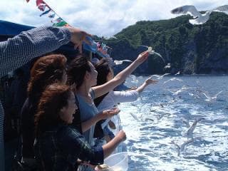 カモメの餌やり