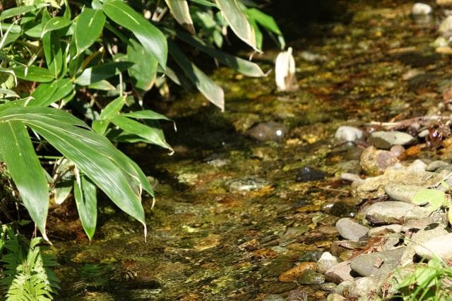 Etsuriko / Naganuma Spring Water and Cherry Blossom Tree Walking Course