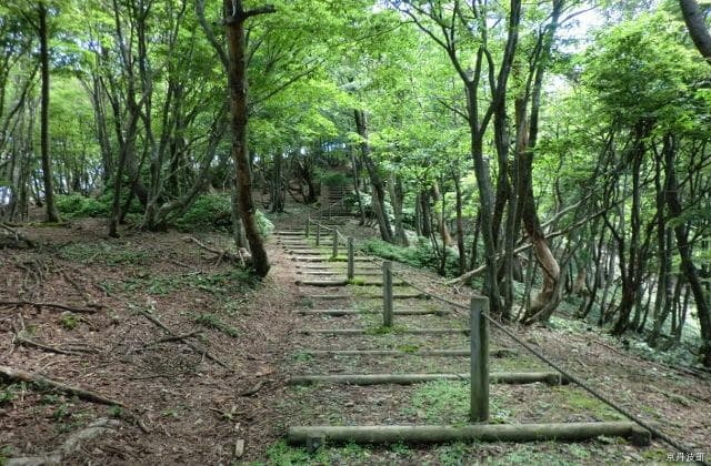 長老山ハイキング道