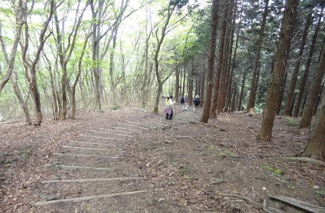 Mount Oe Hiking Course