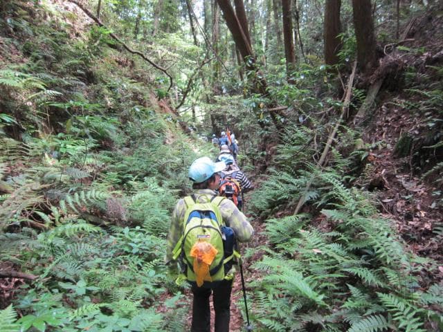 三社詣りの古道