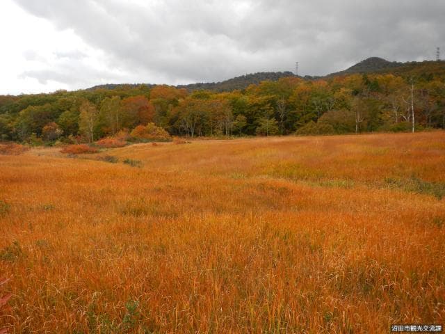 Tamahara Marshland