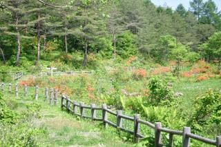 Kajidai Ikoinomori Hiking Course 1