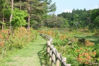 Kajidai Ikoinomori Hiking Course 2