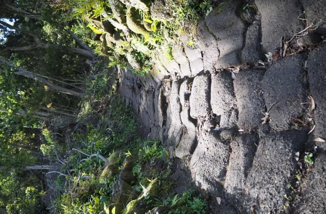 Mount Nokogiri "Track Road"