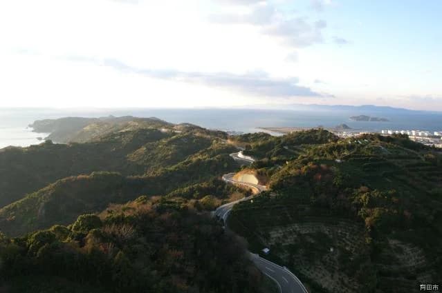 Arida Mikan Kaido