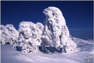 スノーモンスター