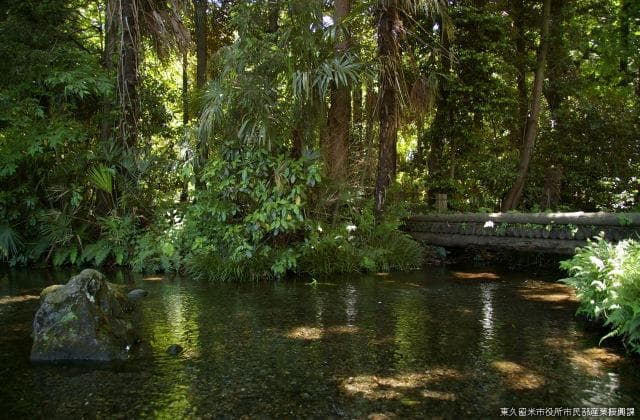 南沢緑地保全地域