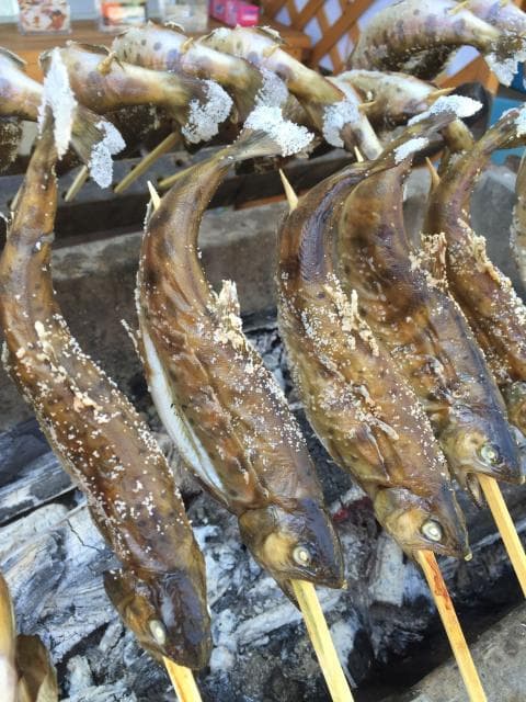 Salted grilled yamame