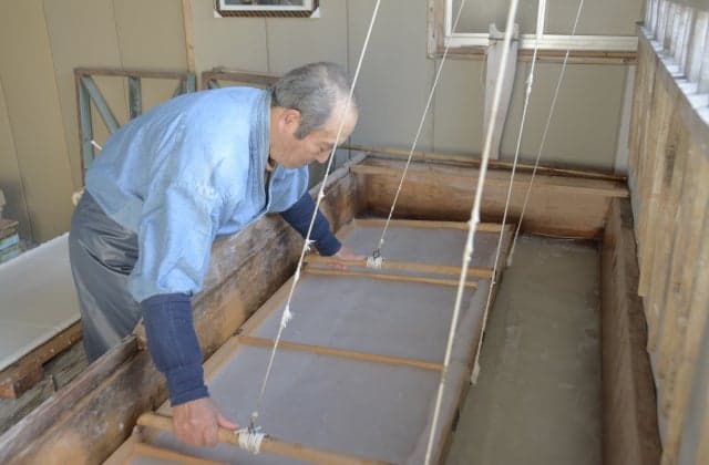 Maru Kazu Mori Paper