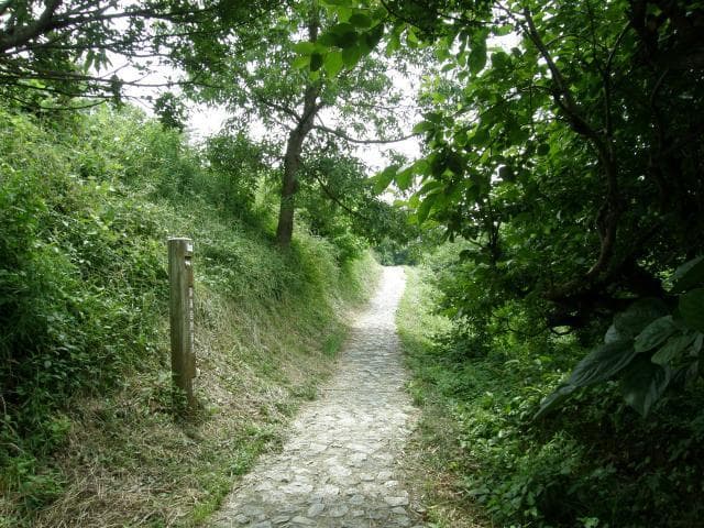 山の辺の道(崇神天皇陵付近)