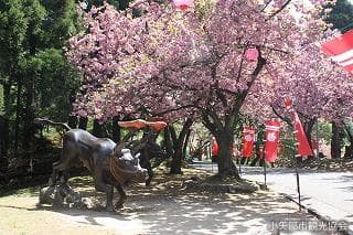 Kurikara Prefectural Park