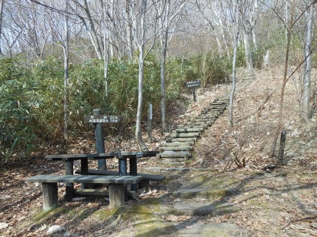 舟見山遊歩道