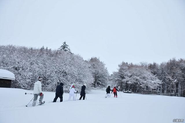 治山の森 スノーシューツアー