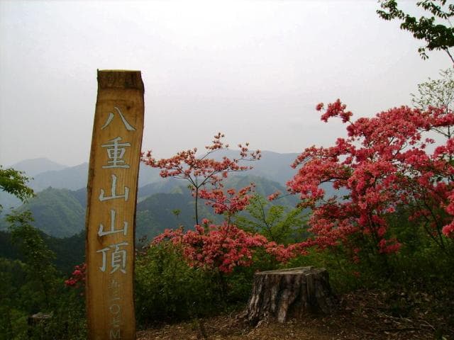 八重山山頂