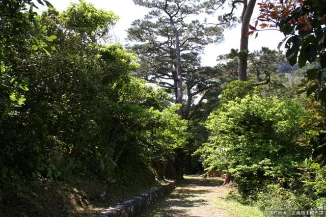 Walking path (1)